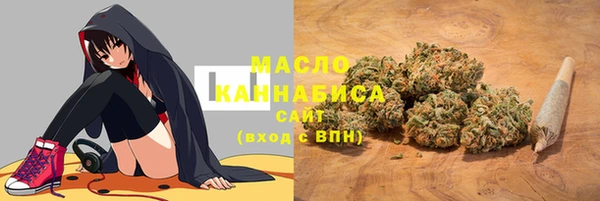 молекула духа Балахна