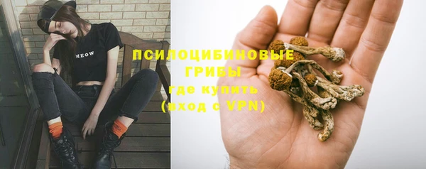 эйфоретик Армянск