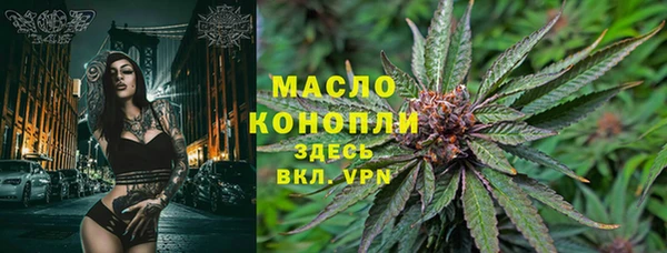 молекула духа Балахна