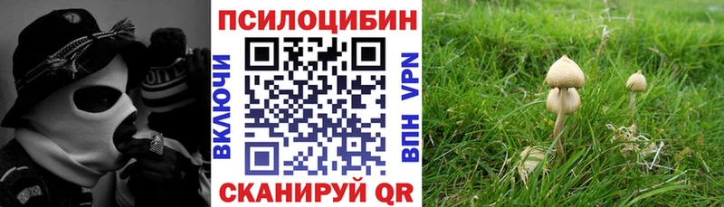 Галлюциногенные грибы ЛСД  Себеж 